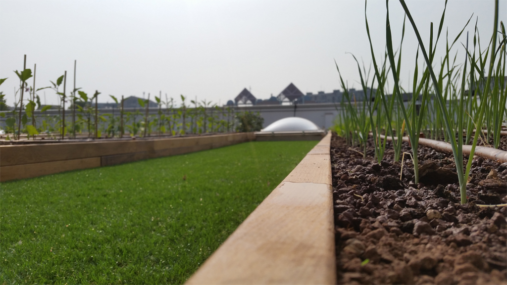 Industrial architecture Roofingreen