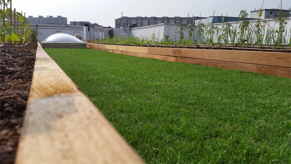 Industrial architecture Roofingreen