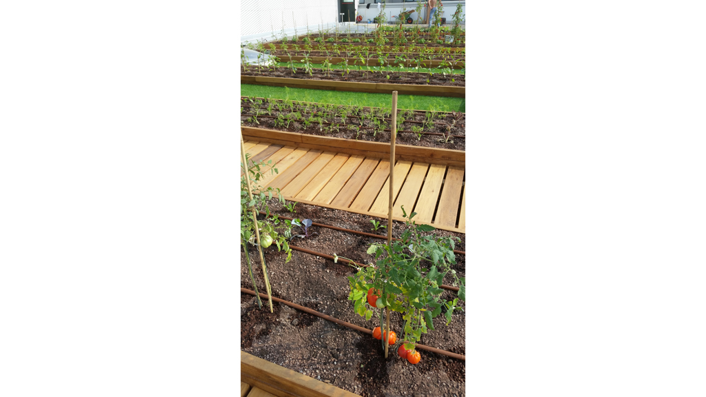 Industrial architecture Roofingreen