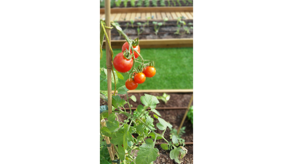 Industrial architecture Roofingreen