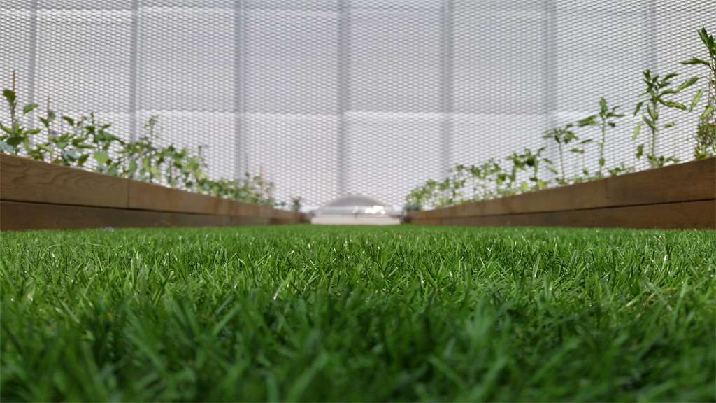 Industrial architecture Roofingreen