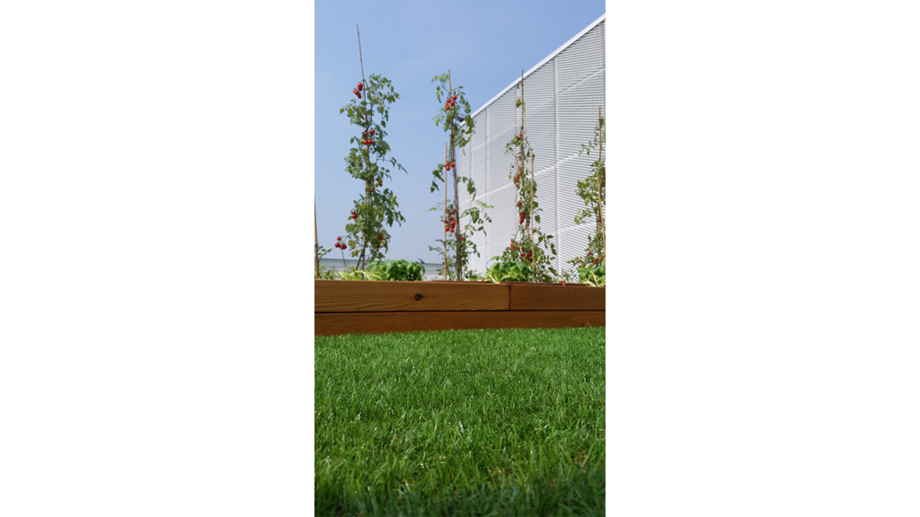 Industrial architecture Roofingreen