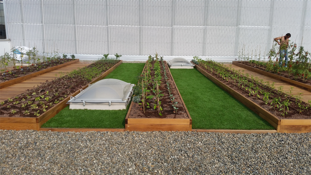 Industrial architecture Roofingreen