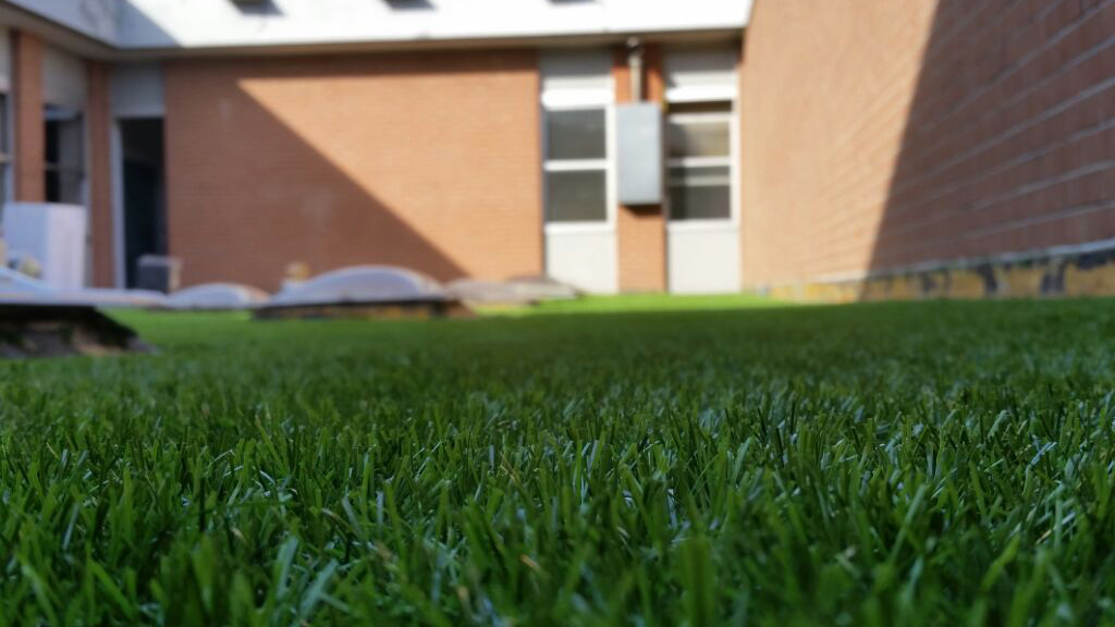 Industrial building Roofingreen