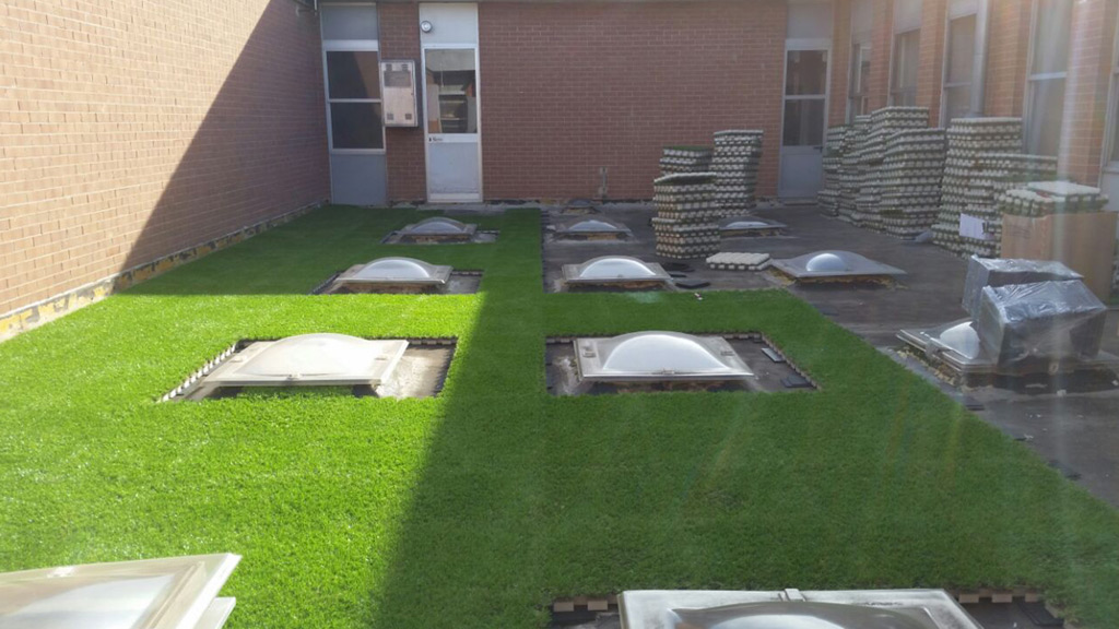 Industrial building Roofingreen