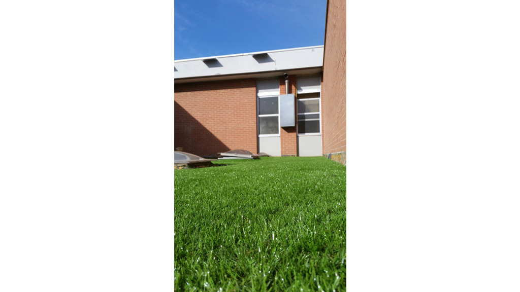 Industrial building Roofingreen