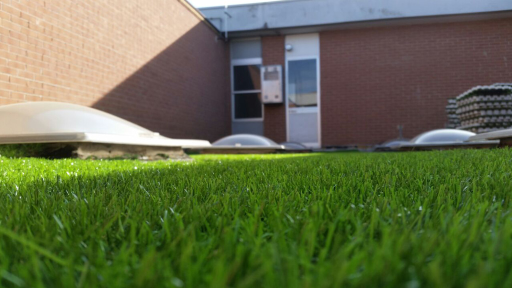 Industrial building Roofingreen