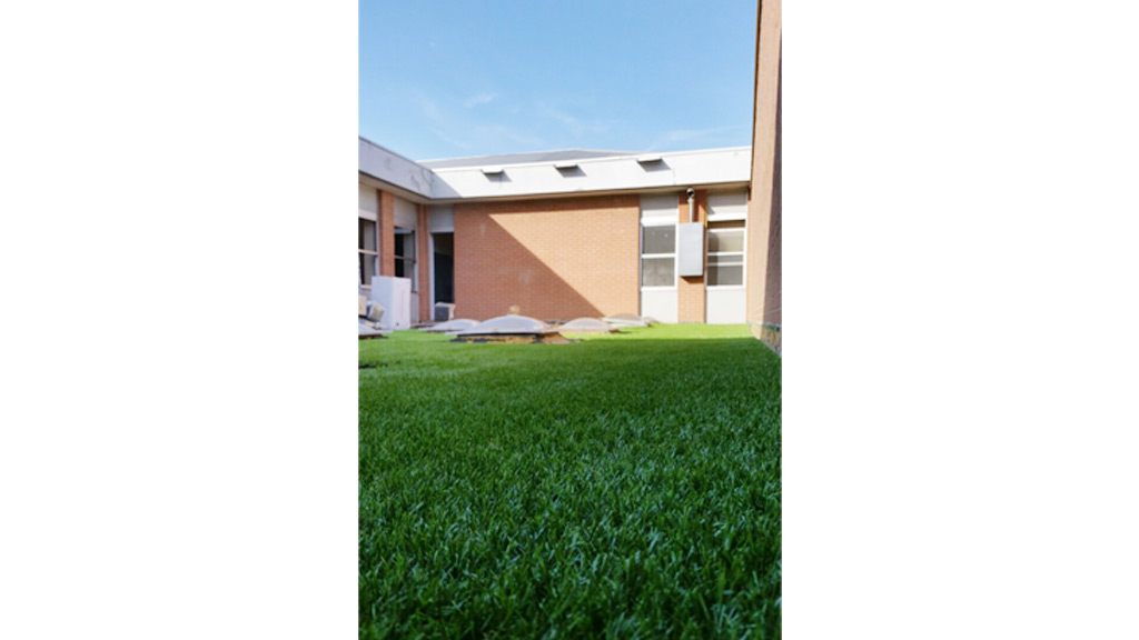 Industrial building Roofingreen