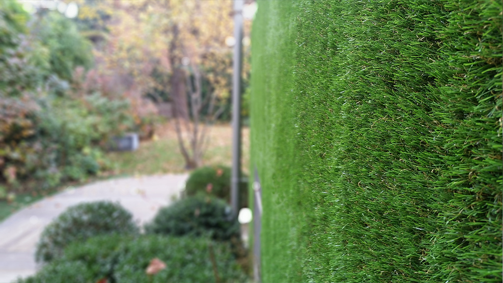 Green walls - The Secret Garden