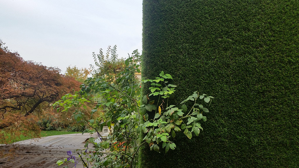 Green walls - The Secret Garden