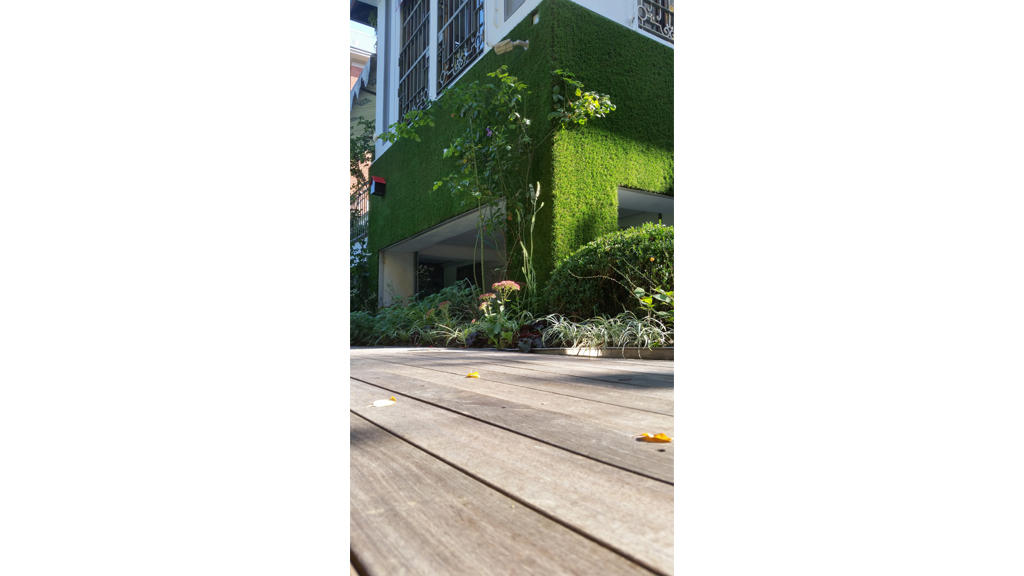 Green walls - The Secret Garden