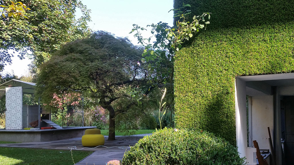 Green walls - The Secret Garden