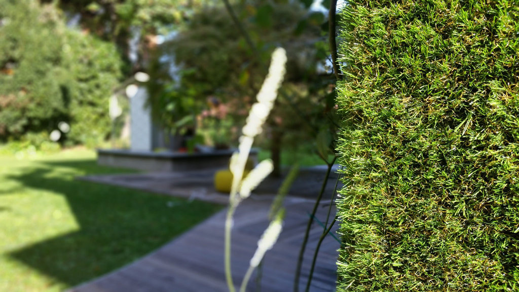 Green walls - The Secret Garden