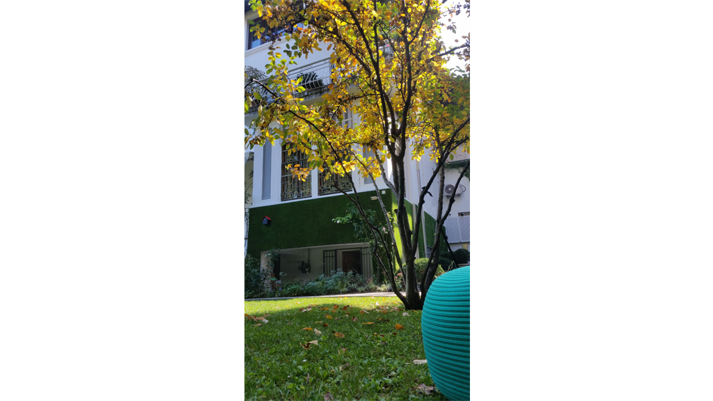 Green walls - The Secret Garden