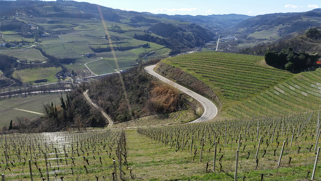 Roofingreen Nature Led SPA Relais San Maurizio