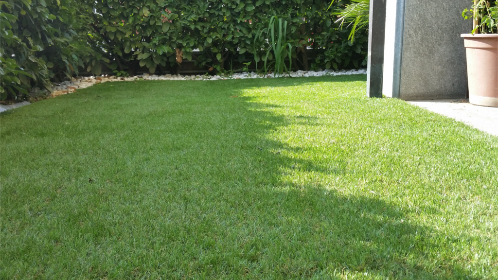 Roofingreen Courtyard