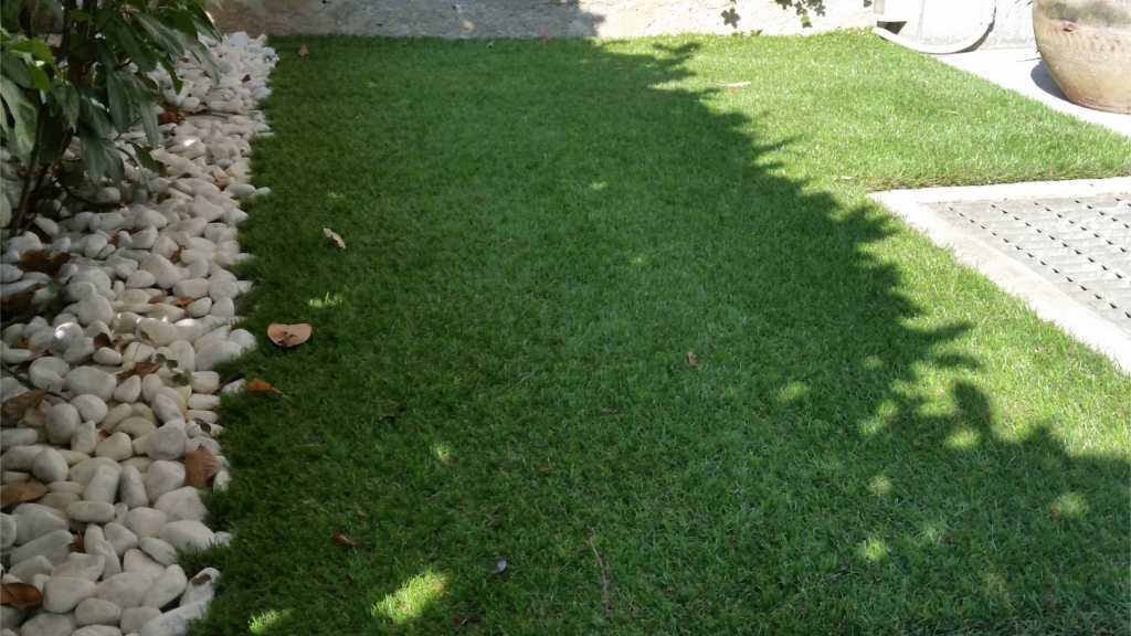 Roofingreen Courtyard