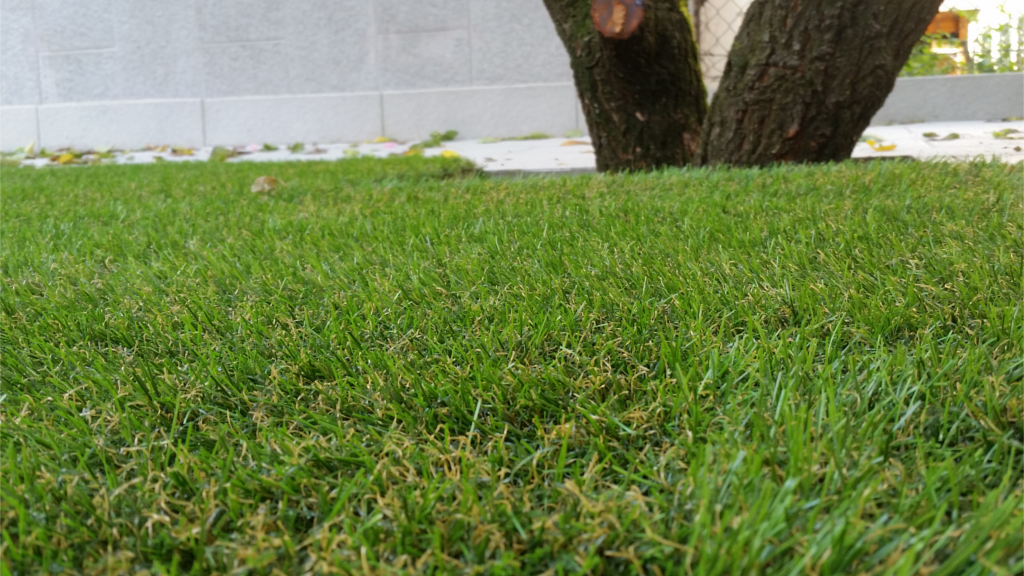 Roofingreen Courtyard