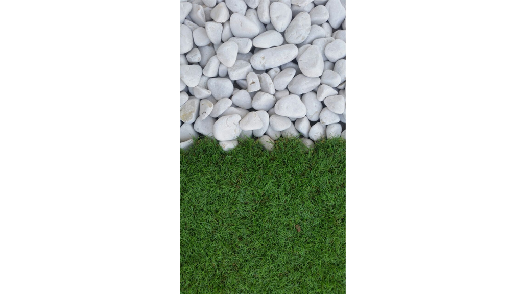 Showroom Catania Roofingreen