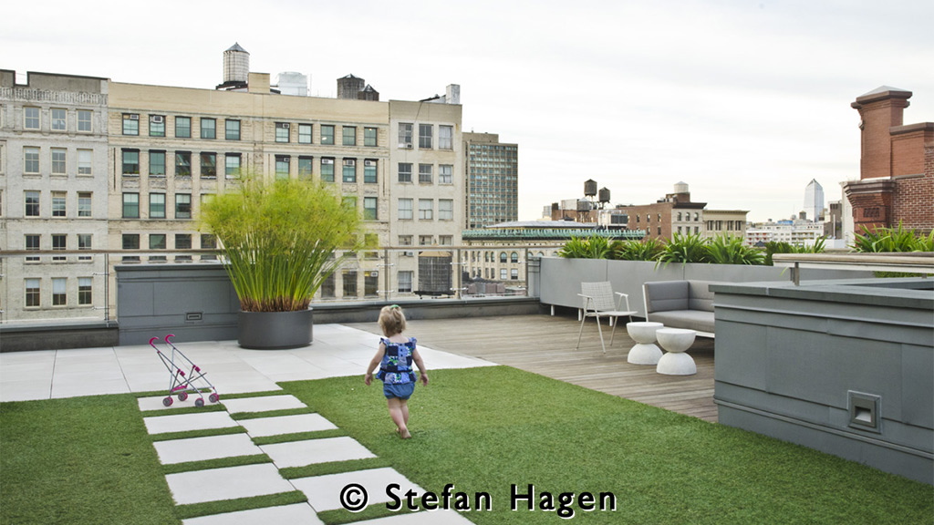 Rooftop New York Roofingreen