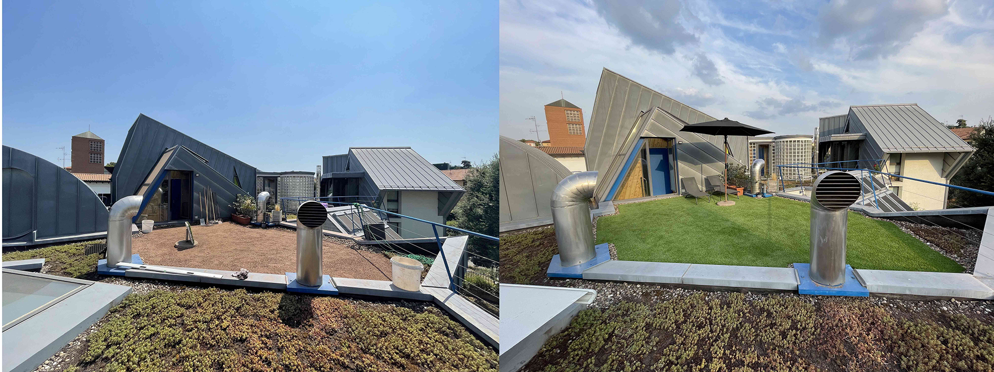 Sedum Rooftop coverage