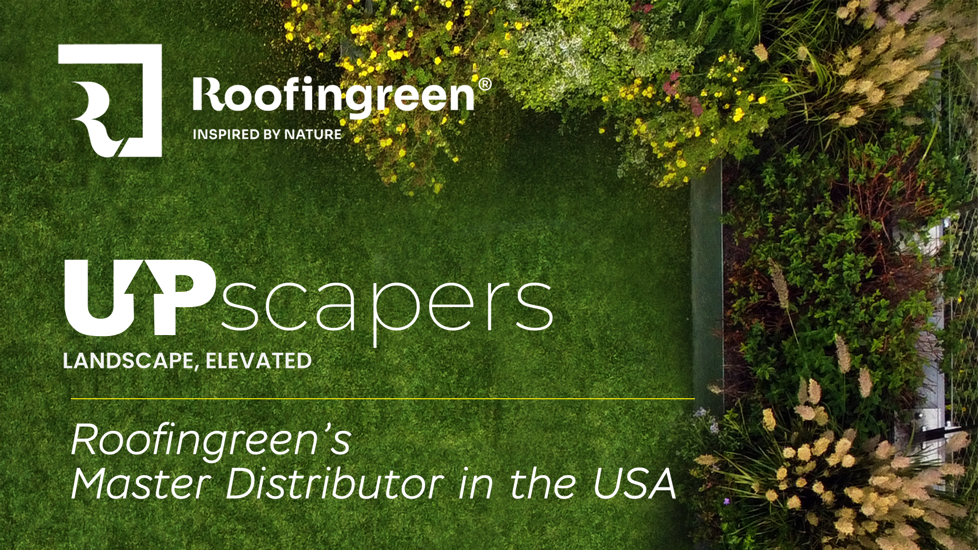 Roofingreen's Master Distributor in the USA