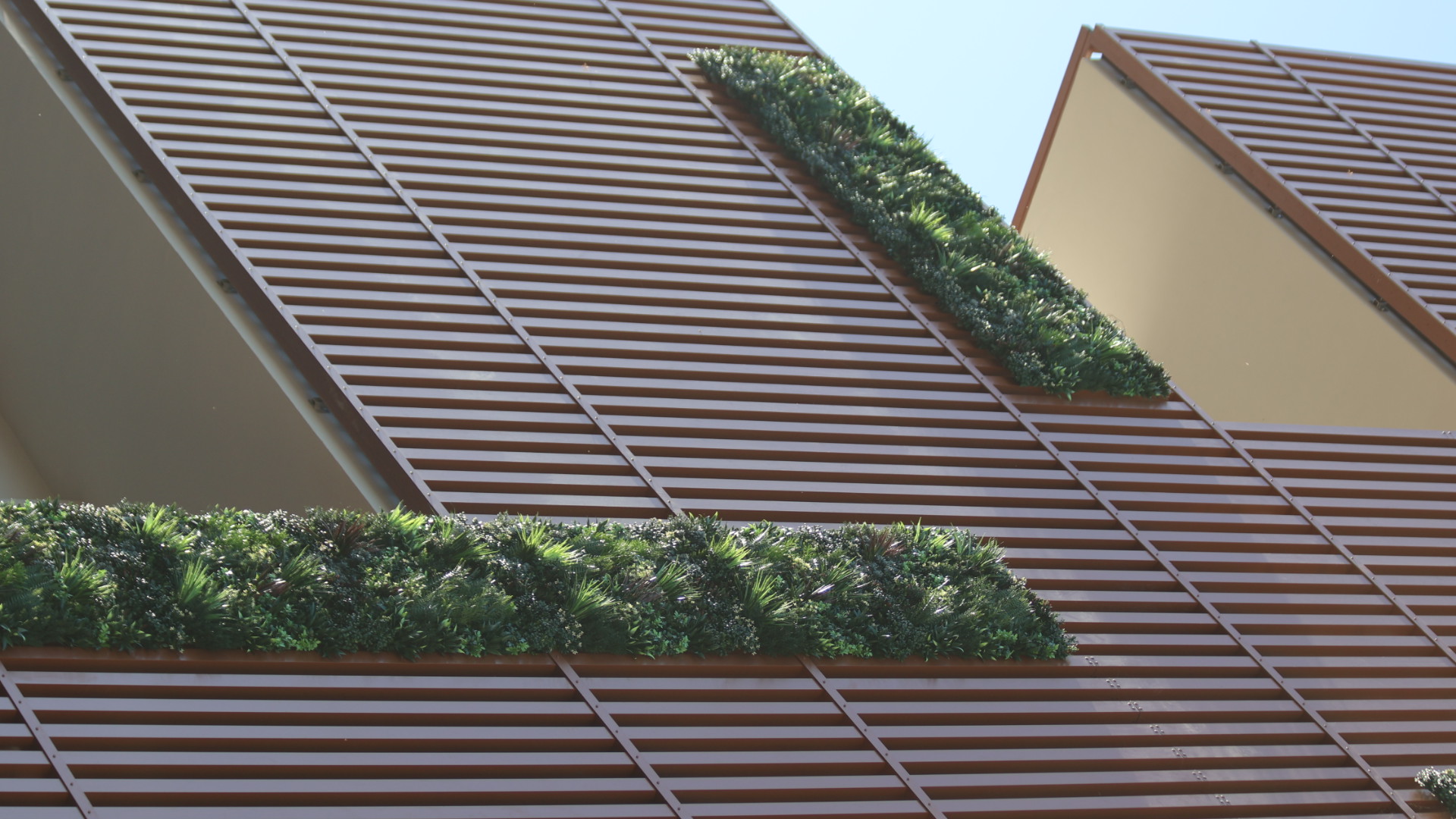 green-walls