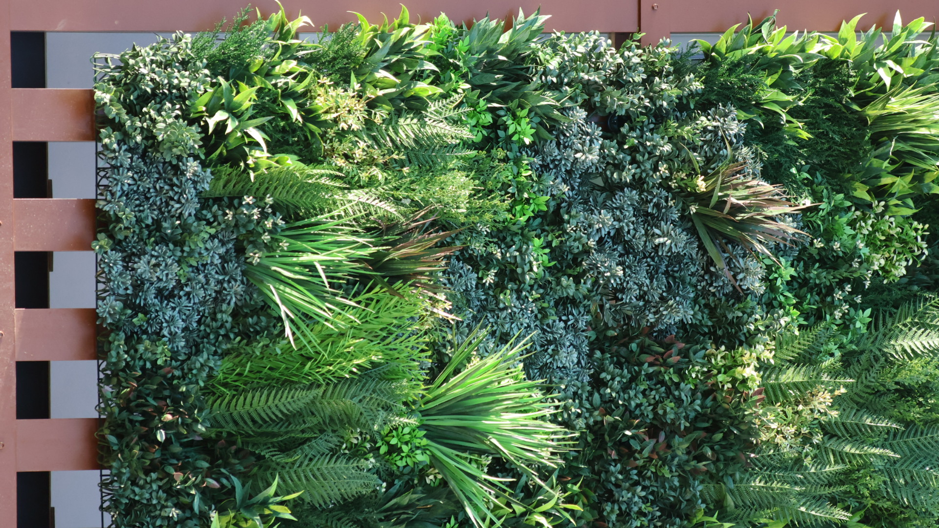 green-walls